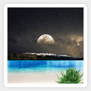 Aloe Vera Moon Beach Sticker